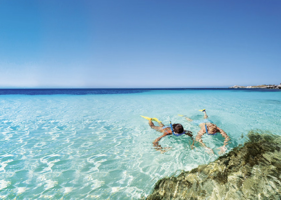 2025】ロットネスト島を徹底解説！クオッカや美しいビーチを満喫