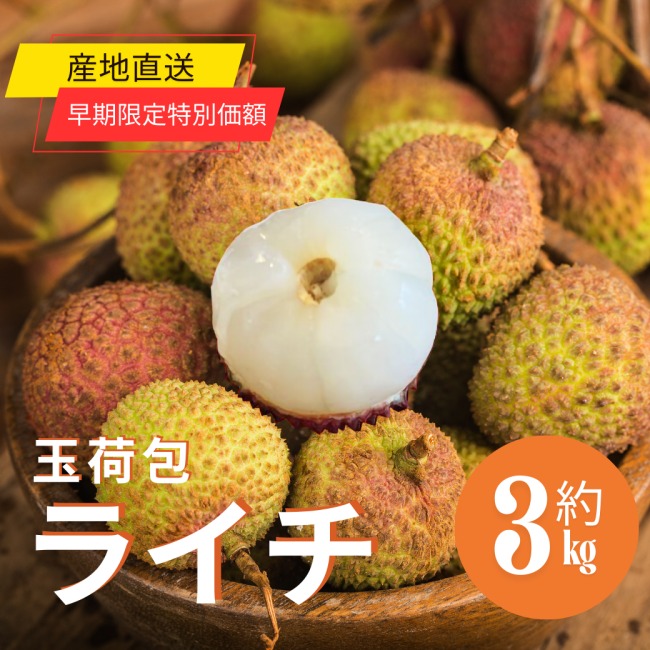 台湾マンゴーを通販で注文しよう！おすすめ商品9選と魅力を紹介