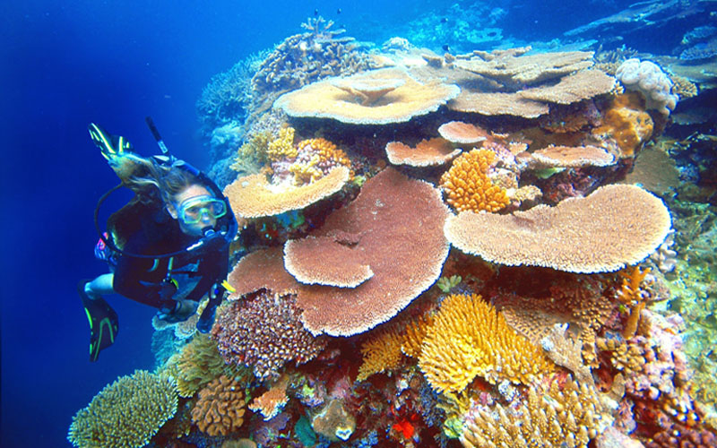 2025】グレートバリアリーフツアーおすすめ9選