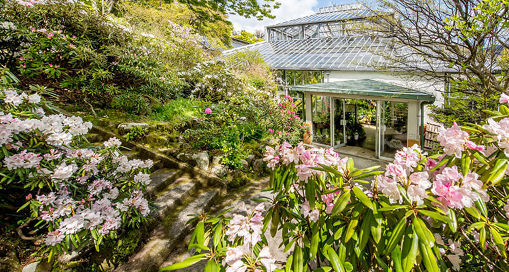 箱根強羅公園の熱帯植物館とはどんなスポット？おすすめの体験も解説