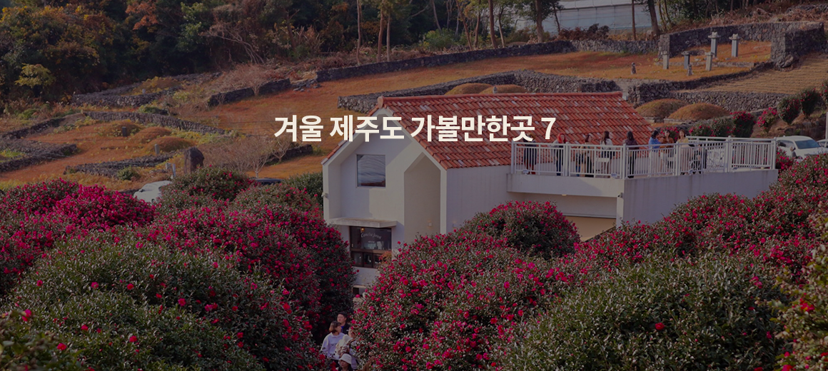 겨울 숲 도로의 겨울, Redunda -Gil, Halla Mountain, Halla Mountain