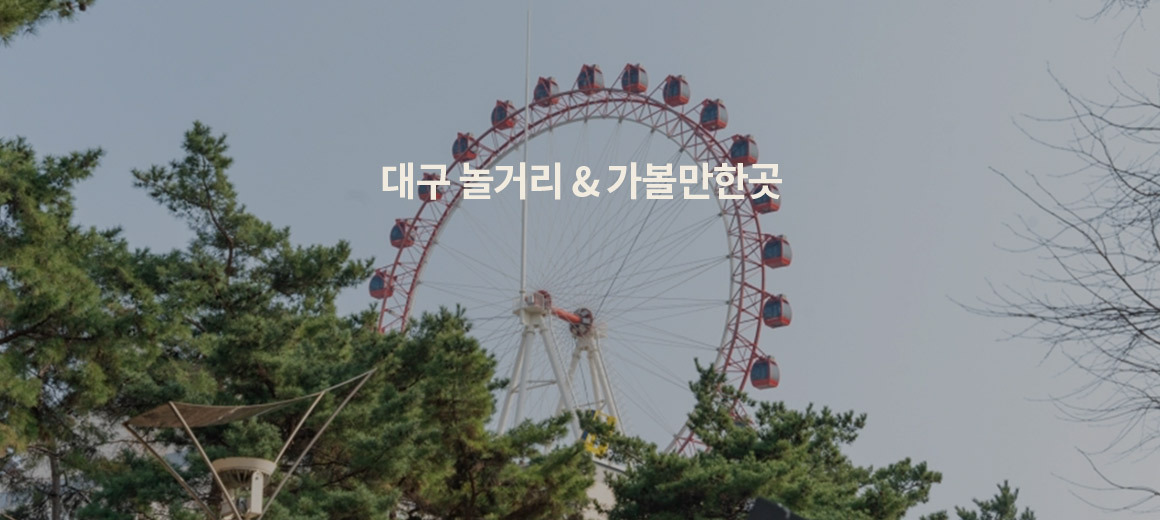 2025 대구 놀거리 &#038; 가볼만한곳 BEST 12