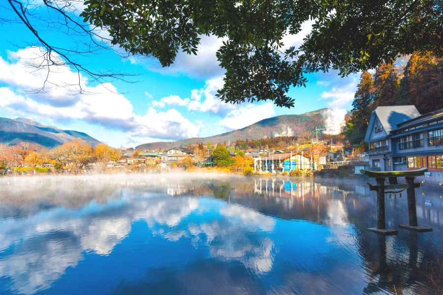 후쿠오카 유 푸인과 베푸부 매력 비교