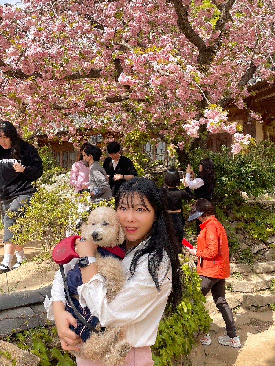 4월 국내여행지