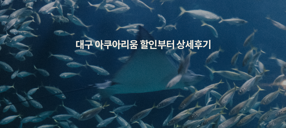 2023 대구 아쿠아리움 할인부터 상세후기까지!