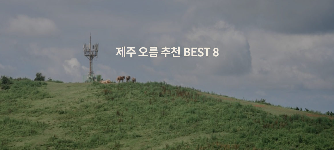 초보자도 오르기 쉬운 제주 오름 추천 BEST 8
