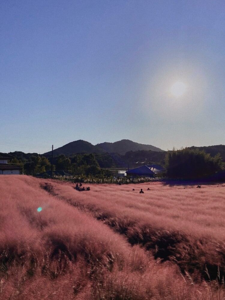 고창 가볼만한곳 청농원