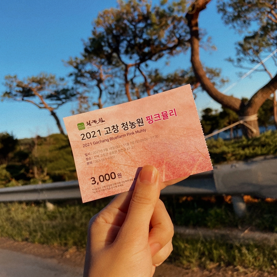 고창 가볼만한곳 청농원