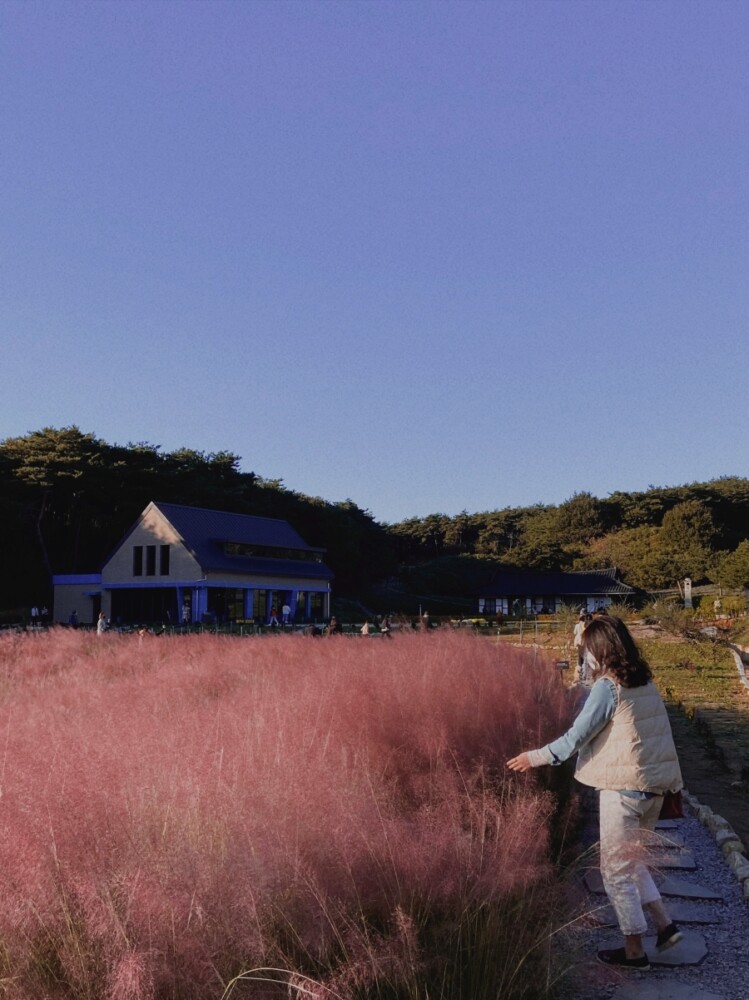 고창 가볼만한곳 청농원