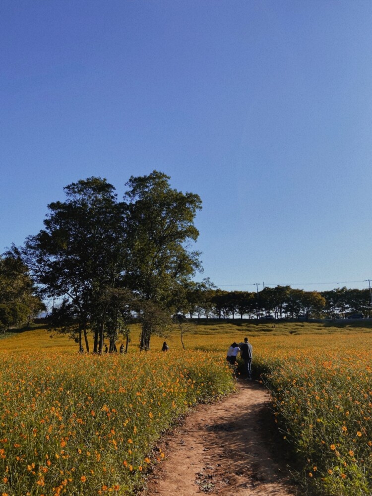 고창 가볼만한곳 학원농장
