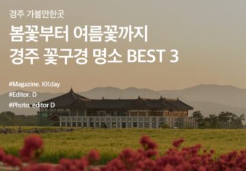 경주 꽃구경 여행지 3