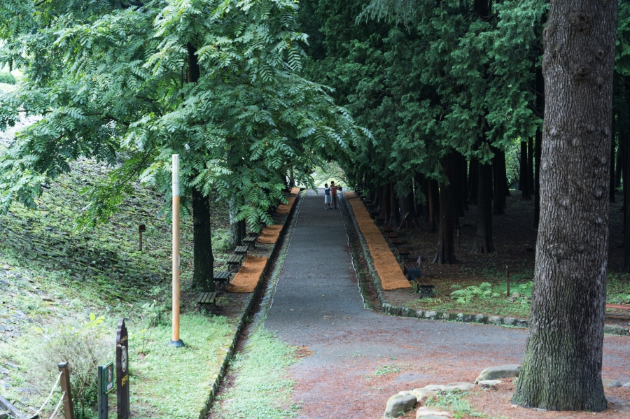 양산 가볼만한곳 법기수원지