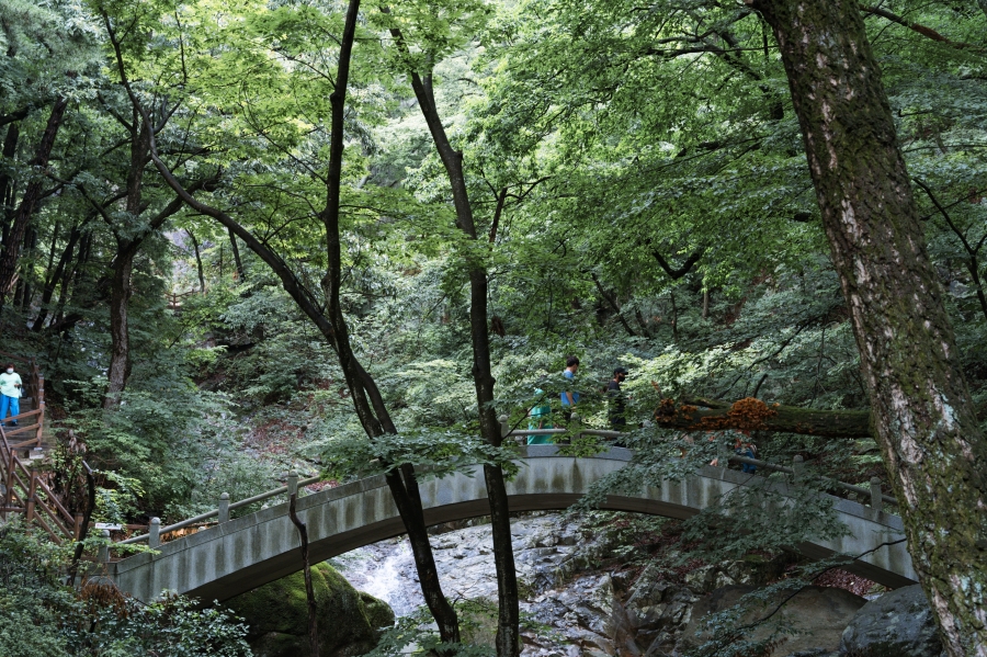 양산 가볼만한곳 홍룡사