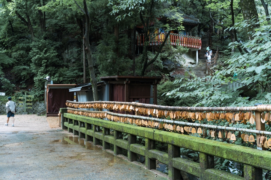 양산 가볼만한곳 홍룡사