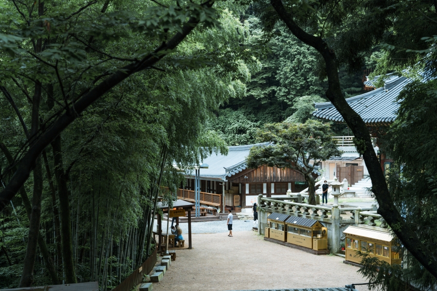 양산 가볼만한곳 홍룡사