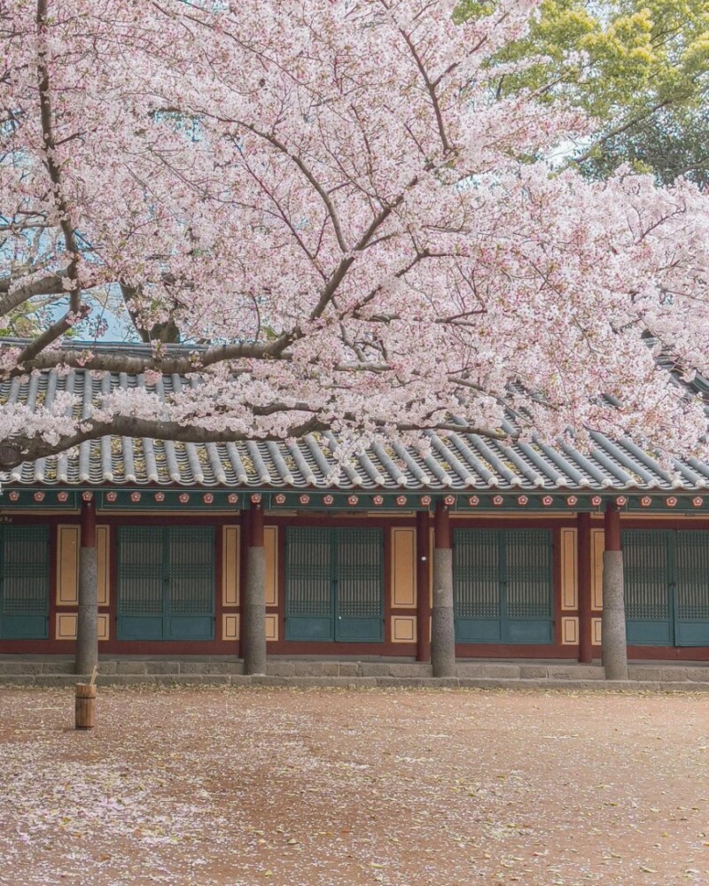 4월 제주 삼성혈