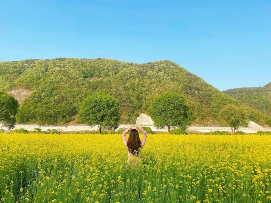 4월 옥천 친수공원