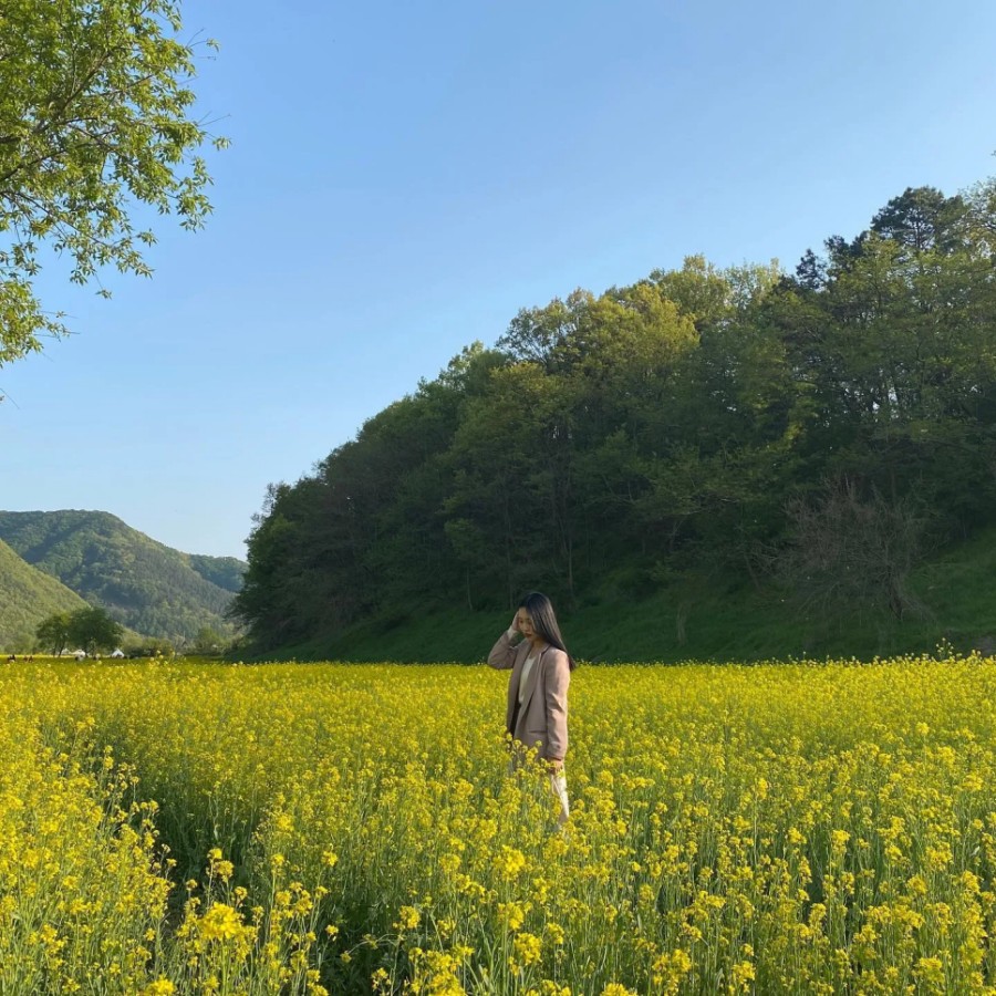 4월 옥천 친수공원