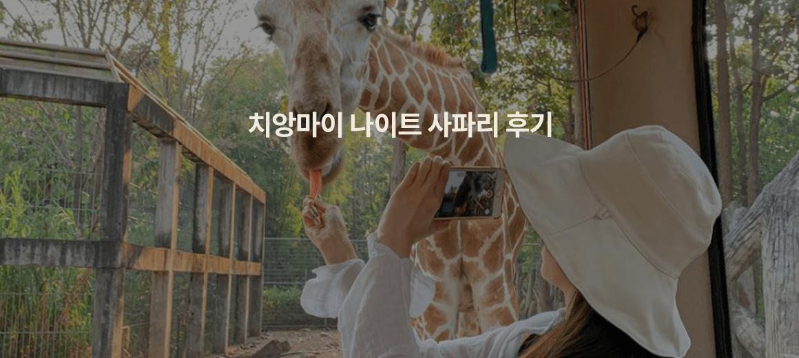 치앙마이 나이트 사파리 후기 &#038; 예약방법