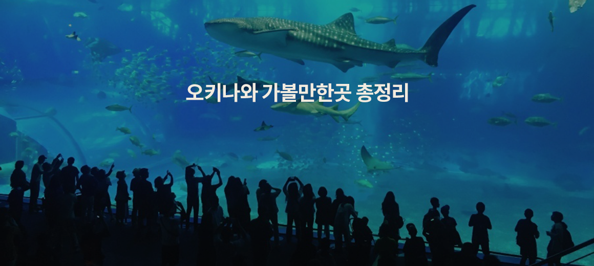 2025 오키나와 여행 가볼만한곳 시기 맛집 총정리