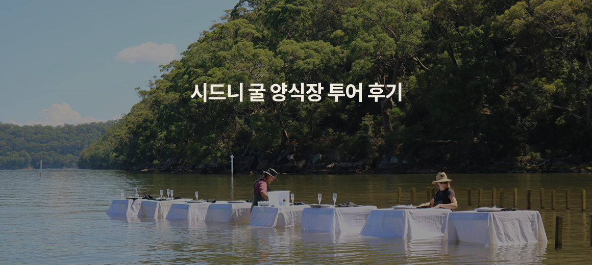 시드니 투어 추천 :: 시드니 굴 양식장 후기