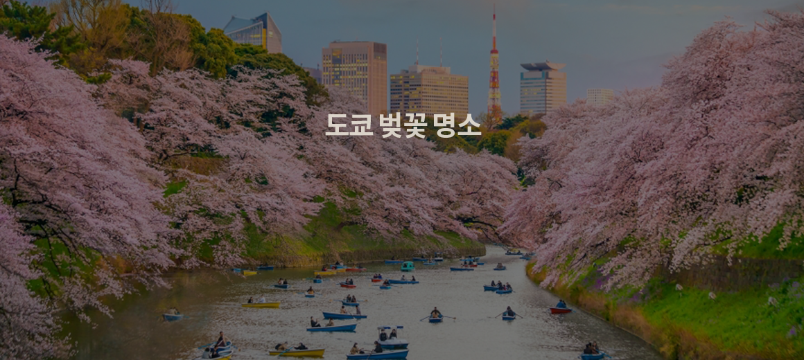 2026 도쿄 벚꽃 명소 BEST 4