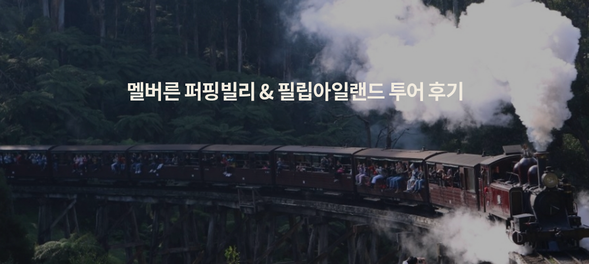 멜버른 여행 추천 :: 퍼핑빌리 투어 &#038; 필립아일랜드 투어 상세후기