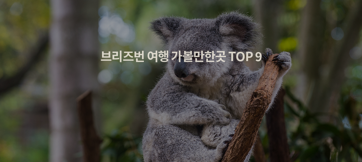 2024 브리즈번 여행 가볼만한곳 TOP 9