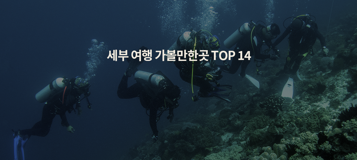 필리핀 세부 자유여행 꼭 가볼만한곳 BEST 14