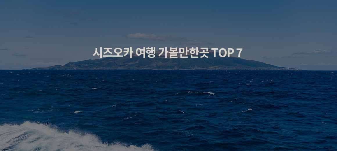 2025 일본 시즈오카 여행 시 가볼만한곳 TOP 7