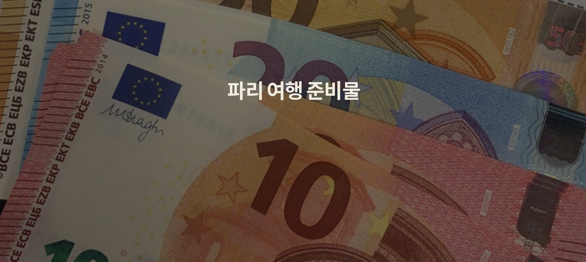 2024년 프랑스 파리 여행 준비물 :: 항공권부터 환율, 교통권까지 총정리