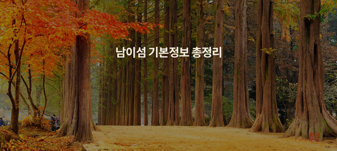 2025 남이섬 볼거리 입장권 가는법 맛집 총정리