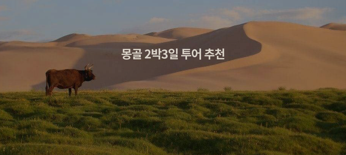 몽골 투어 추천 :: 여행코스 여행사 추천 총정리