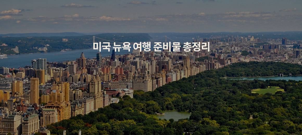 2025 미국 뉴욕 여행 준비물 총정리