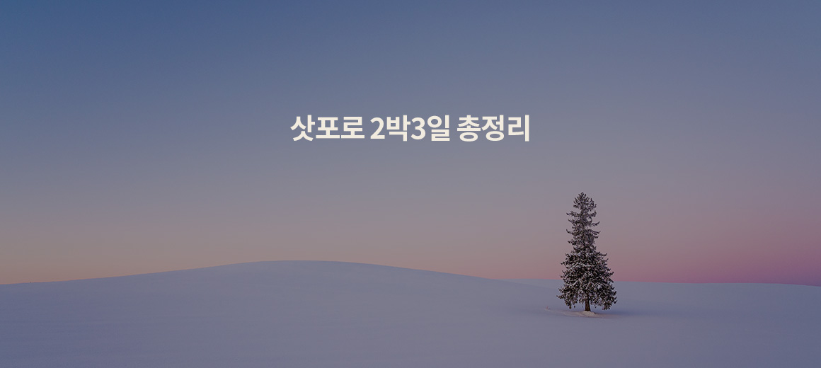 2026 삿포로 2박3일 일정, 여행 코스, 환전, 경비 총정리!