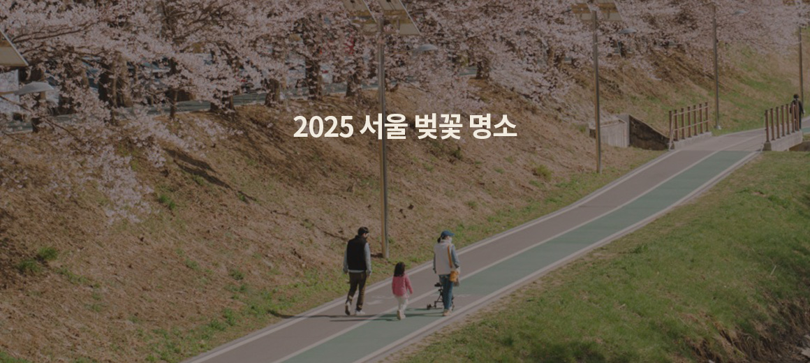 2026 서울 벚꽃 명소 BEST 7