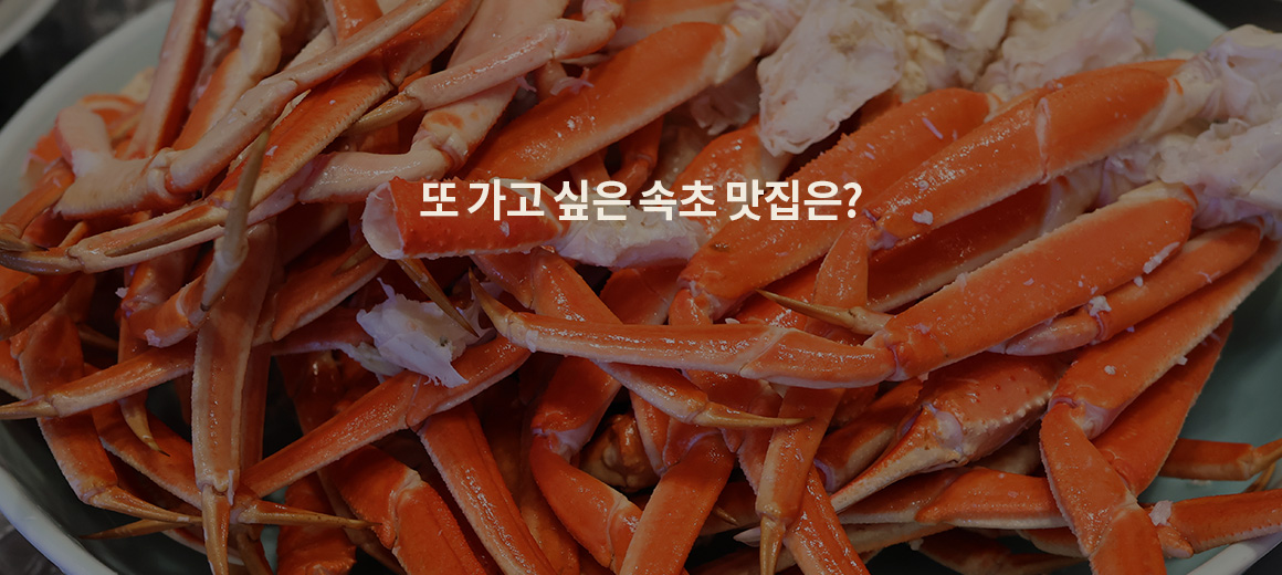 또 가고 싶은 속초 맛집 BEST 6