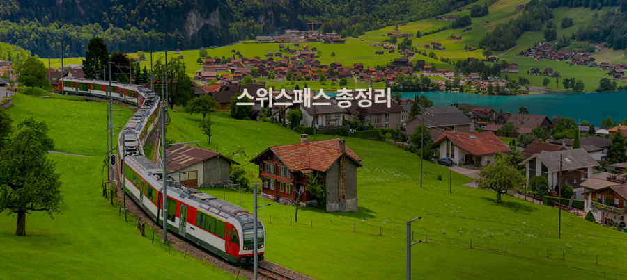 2025 스위스패스 정리! 가격 사용법 융프라우패스 비교 총정리