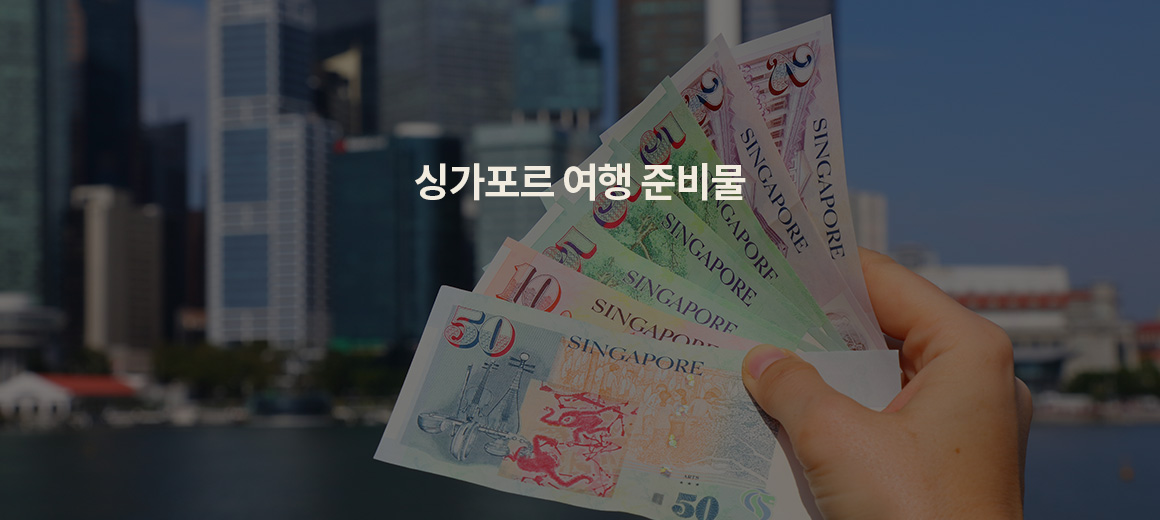 2025 이건 꼭! 싱가포르 여행 준비물 7가지 총정리