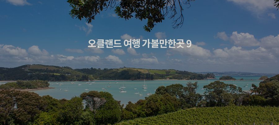 2024 오클랜드 여행 가볼만한곳 TOP 9