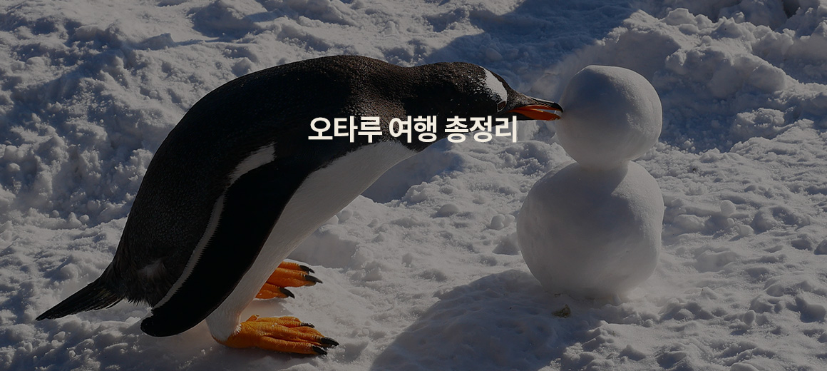 2025 오타루 여행 가이드! 관광 명소, 날씨, 일정 총정리
