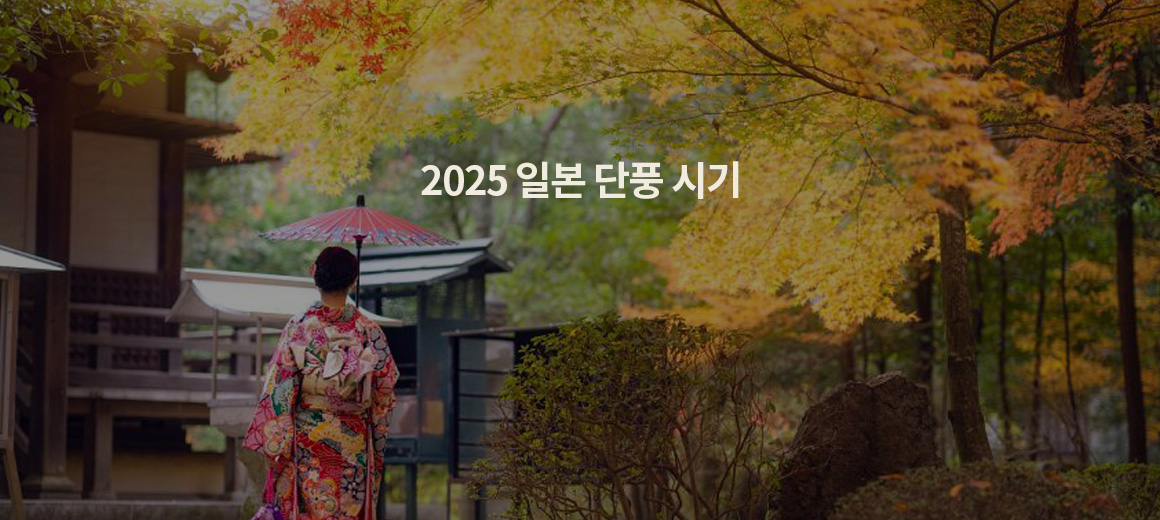 2025 일본 단풍 시기 (도쿄 / 교토 / 오사카 / 후쿠오카 / 홋카이도)