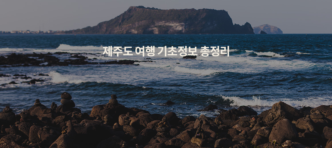 2025 제주도 여행 가볼만한 곳, 여행 코스, 명소 한 번에 정리!