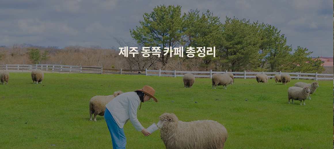 사진 찍기 좋은 제주 동쪽 카페 BEST 10