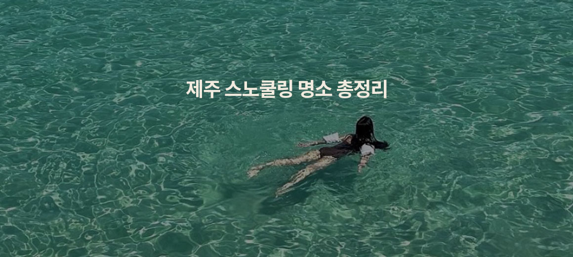 2024 제주도 스노쿨링 명소 BEST 5