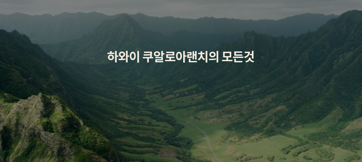 2025 하와이 쿠알로아랜치 투어 종류, 비용, 예약까지