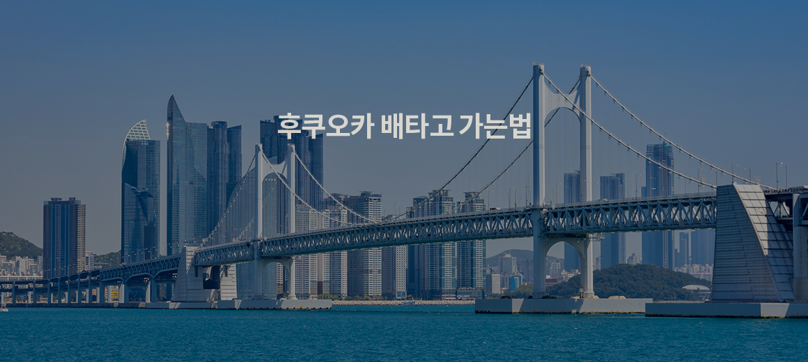 2025 부산 후쿠오카 배 뉴카멜리아 가격, 시간, 예약 총정리