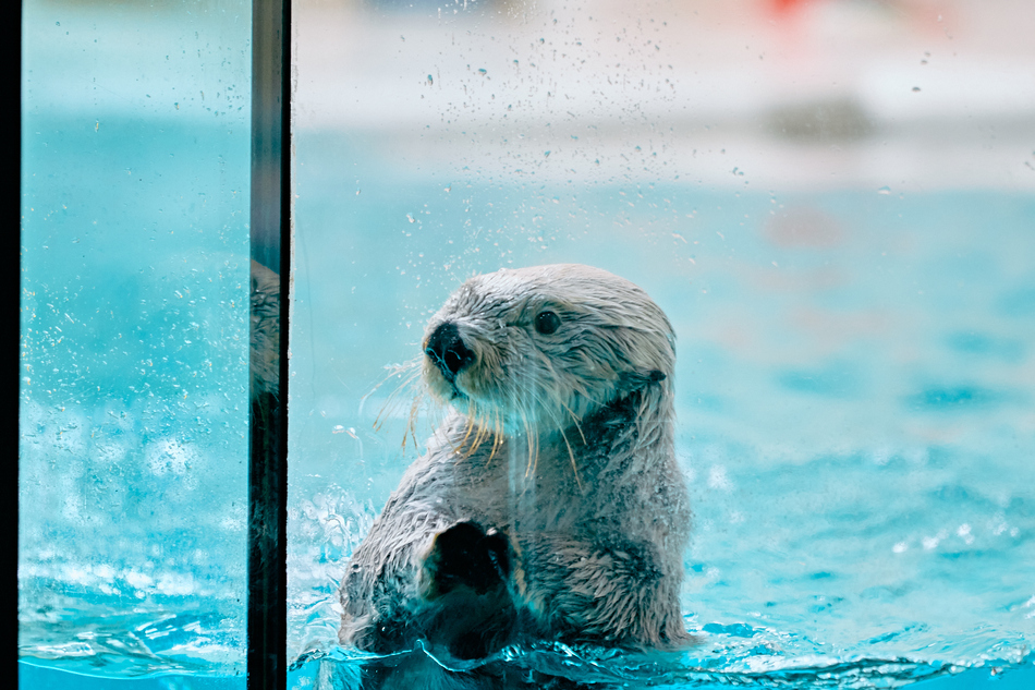 ฮีลใจไปกับ &#8220;ทริปชาร์จแบต&#8221; ใน &#8220;มิเอะ&#8221; สัมผัสธรรมชาติอันแสนอ่อนโยนและสัตว์โลกแสนน่ารัก