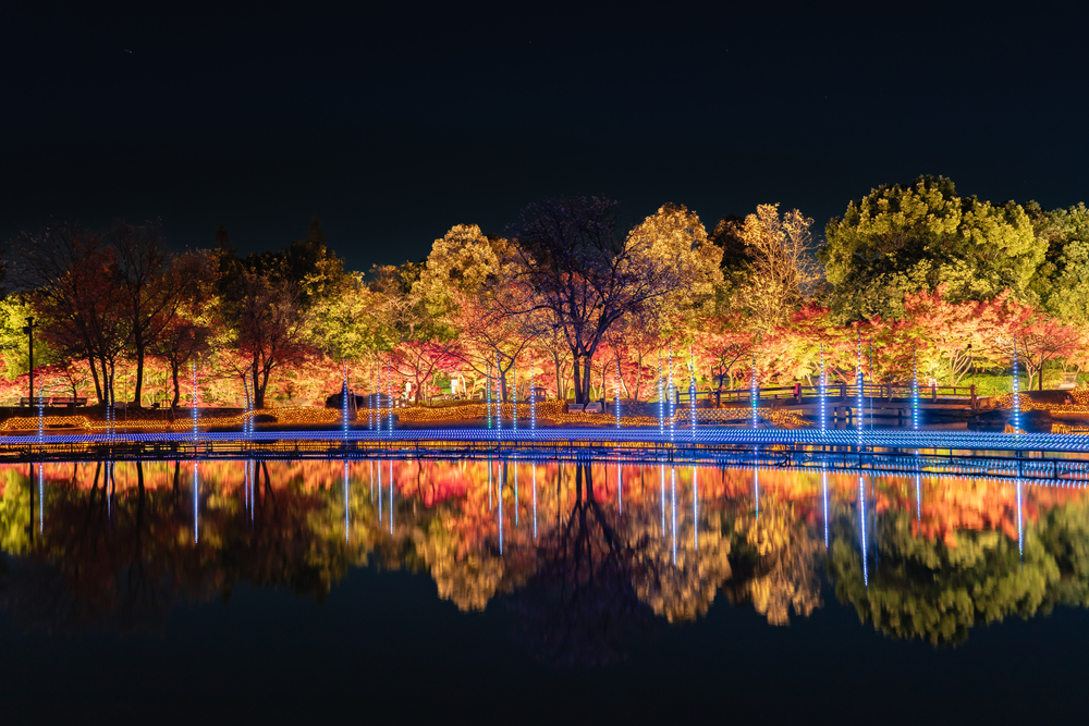 การเดินทางที่งดงามราวกับความฝันจากอิเสะ-ชิมะสู่ &#8220;นาบานะ โนะ ซาโตะ&#8221; &#038; &#8220;ยกกาอิจิ&#8221; สถานที่ซึ่งแสงและตำนานเทพเจ้ามาบรรจบกัน