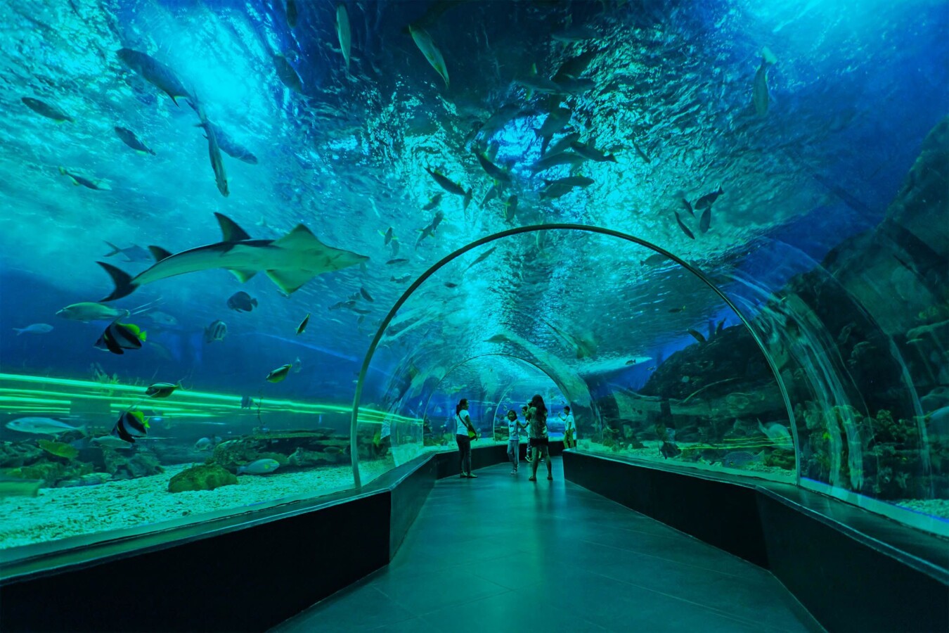 3 ประสบการณ์สุดประทับใจกับ Manila Ocean Park